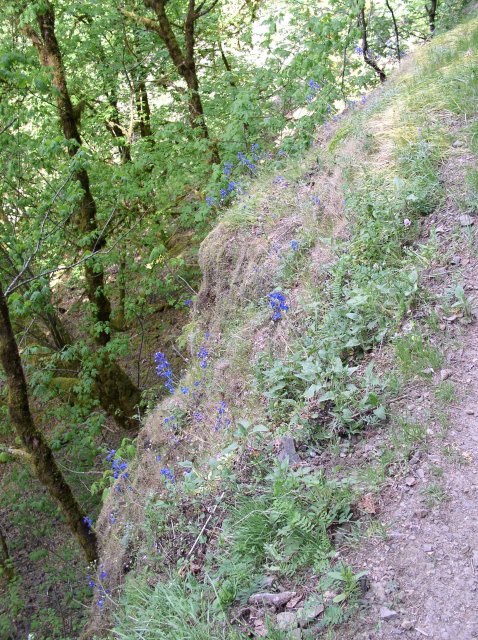 5.5.06 Eagle Creek 001 